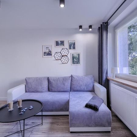 ピワNiron Apartament Dabrowskiegoアパートメント エクステリア 写真
