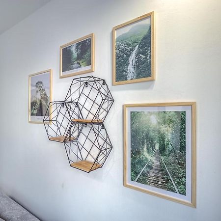 ピワNiron Apartament Dabrowskiegoアパートメント エクステリア 写真