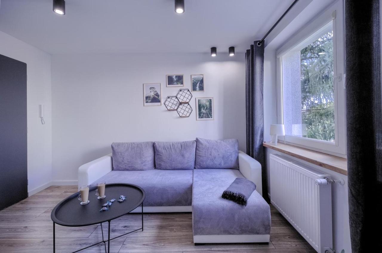 ピワNiron Apartament Dabrowskiegoアパートメント エクステリア 写真